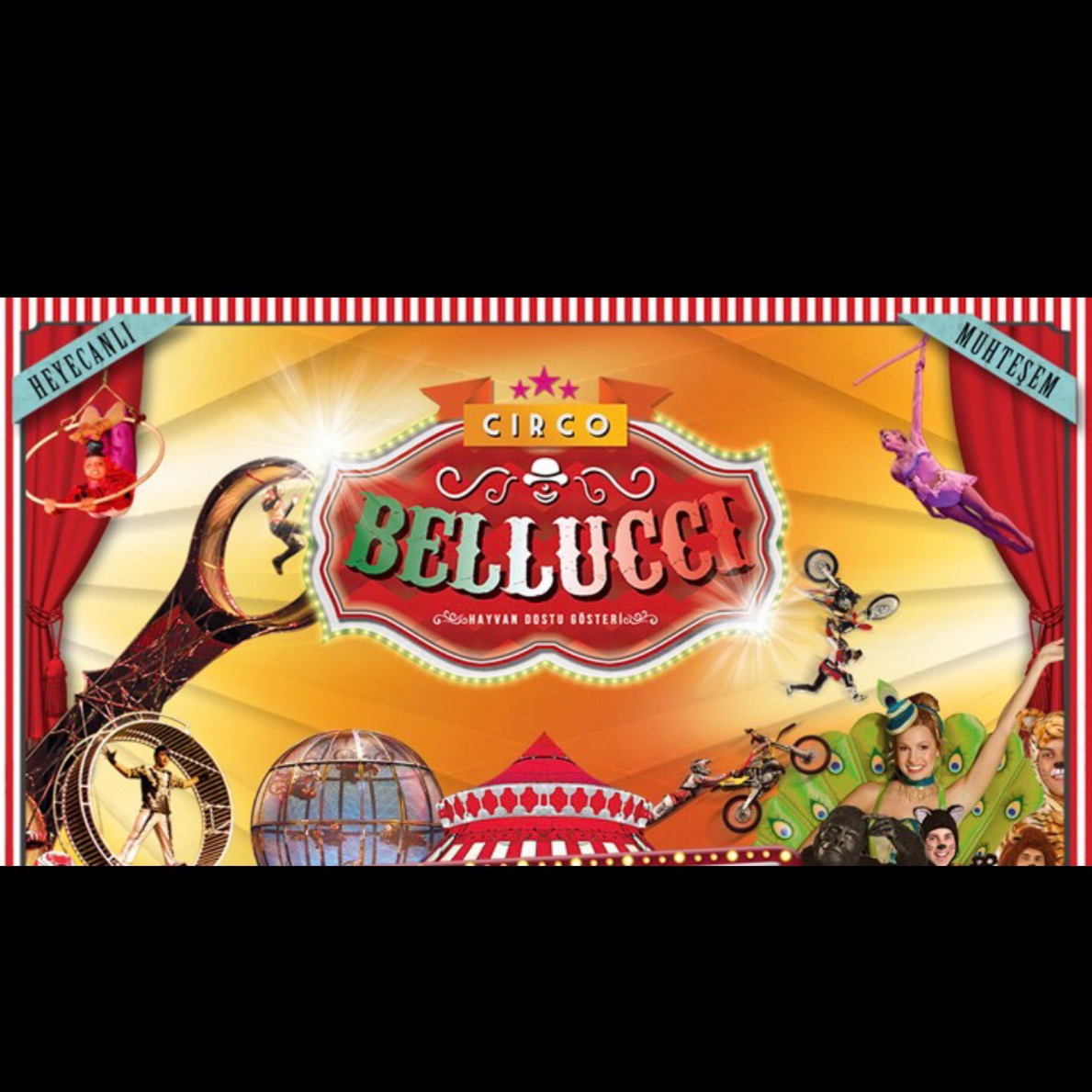 Circo Belluci Hayvan Dostu Sirk  (6 Nisan-6 Mayıs)