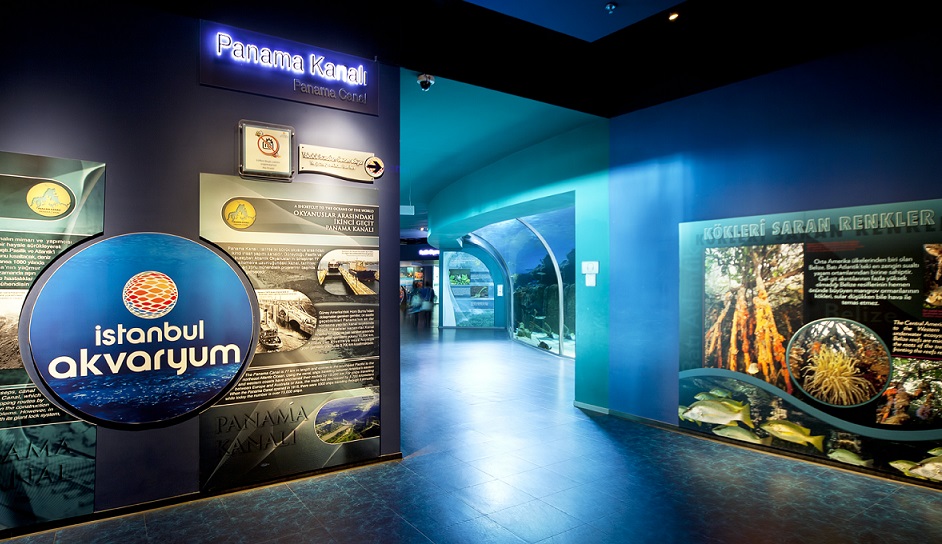 İstanbul Akvaryum'daki Kara ve Deniz Canlıları Çocukları Bekliyor