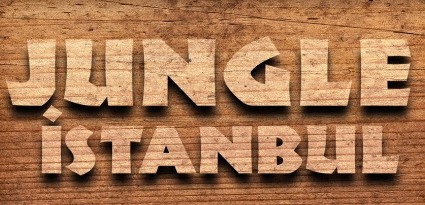 Jungle İstanbul