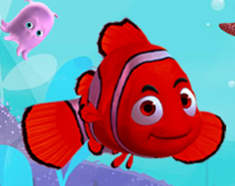 Kırmızı Balık Show