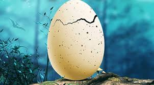 Pırdino ve Deniz Yıldızı Müzikali