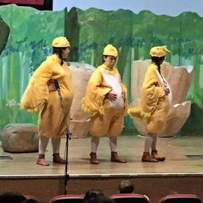 Çirkin Ördek Yavrusu