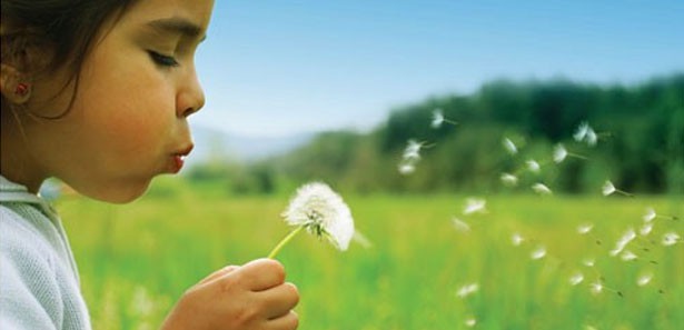 7 Maddede Sağlık Efsaneleri