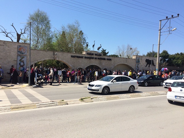 Darıca Hayvanat Bahçesi'nde Bir Gün