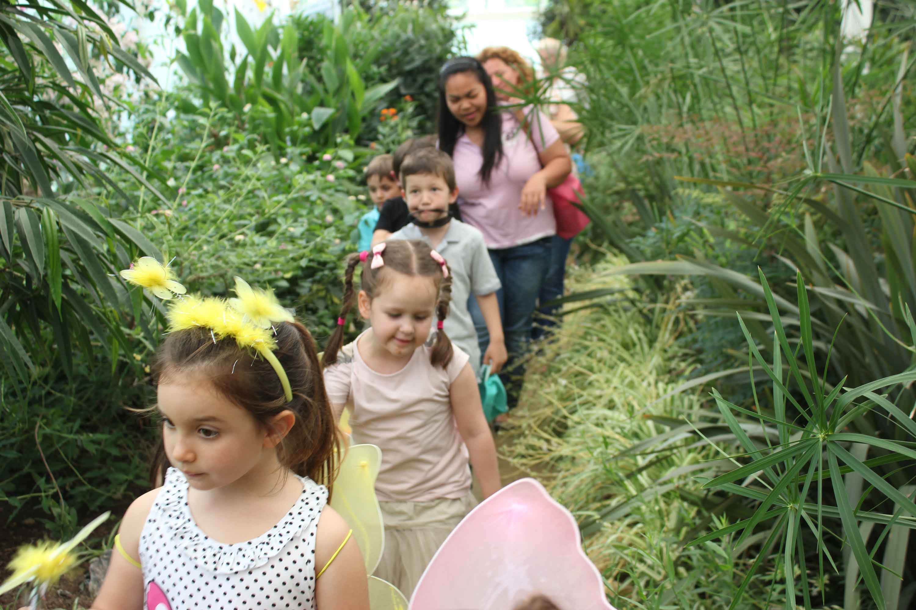İstanbul Kelebek Çiftliği