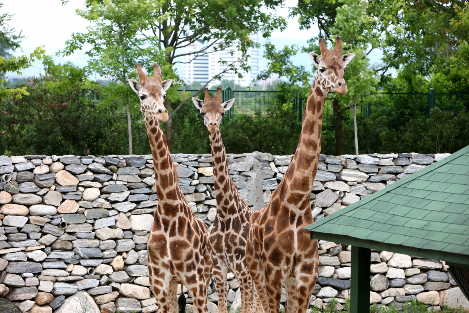 Bursa Hayvanat Bahçesi