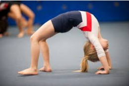 Atom Karınca Cimnastik Okulları